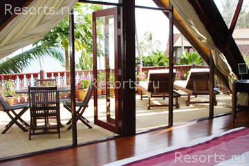 Coconut Paradise 28